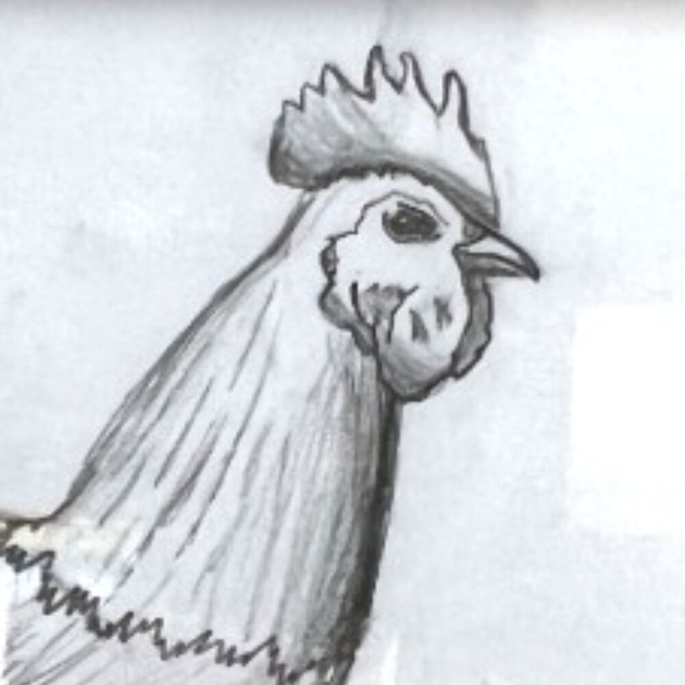 ROOSTER DRAWING White Ornate Cream Frame Signed Pencil Drawing 10.75" x 7.75" H - Picture 2 of 12